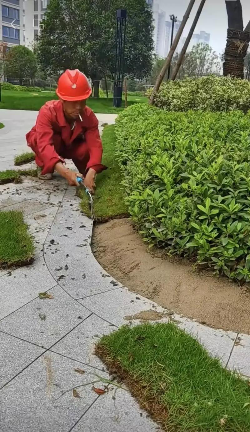 市政園林綠化工程 從精細(xì)化施工到智慧化管理，打造宜居美麗城市