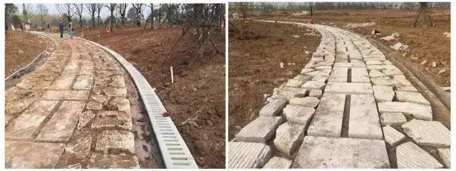 園林綠化施工全流程深度解析 從藍(lán)圖到綠洲的實(shí)戰(zhàn)指南