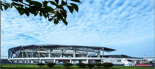 住建局小編和你聊聊 買房時(shí)，別忽略城市綠化管理