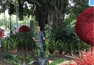 福州市園林局與監督站協同發力，以優質綠化獻禮十九大