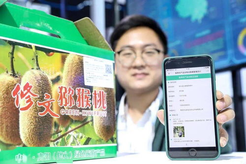 大數據能為鄉村振興做什么